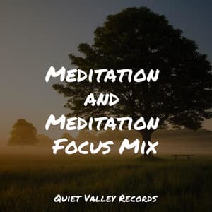 Meditation and Meditation Focus Mix - Sampling XL