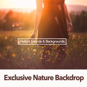Exclusive Nature Backdrop - Nature Sounds & Backgrounds