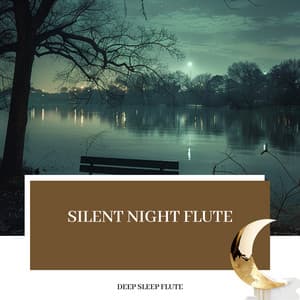 Silent Night Flute: Calmness and Comfort - Deep Sleep Flute