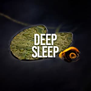 Deep Sleep - Rain Sounds Sleep