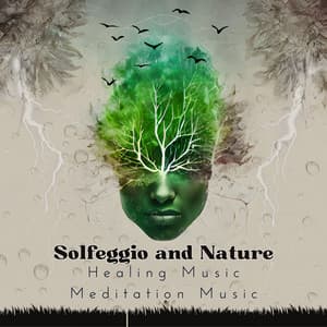 Solfeggio and Nature - SleepTherapy