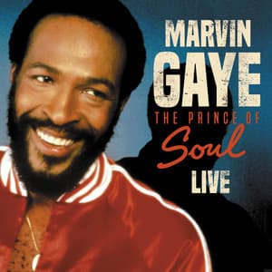 The Prince of Soul - Marvin Gaye