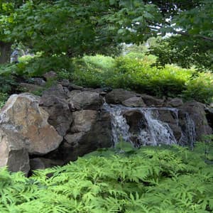 Ambience Sound Library - Deep Sleep Relaxation