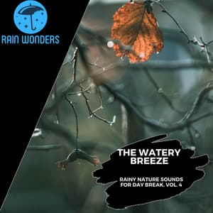 The Watery Breeze - Rainy Nature Sounds for Day Break, Vol. 4 - Rain Sounds