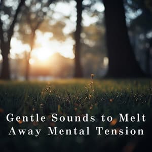 Gentle Sounds to Melt Away Mental Tension - Relaxing BGM Project