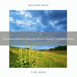 The Nature Records Peaceful Waves Sounds For Perfect Sleep - Water Soundscapes