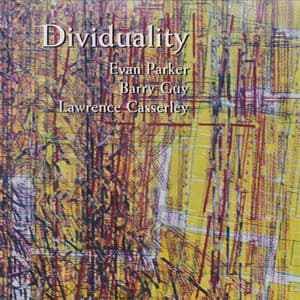 Dividuality - Evan Parker