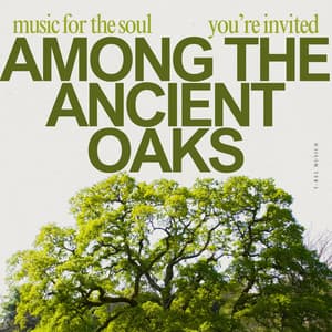 Among the Ancient Oaks - Boreal Nymphs