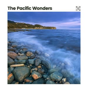 The Pacific Wonders - Waters Of Deluge