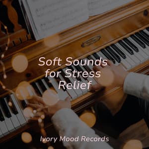 Soft Sounds for Stress Relief - Ivory Mood