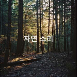 자연 소리 - Nature Sounds Nature Music