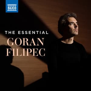 The Essential Goran Filipec - Goran Filipec