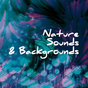 Nature Sounds & Backgrounds - Nature Sounds & Backgrounds
