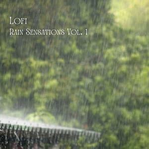 Lofi: Rain Sensations Vol. 1 - Weather and Nature Recordings
