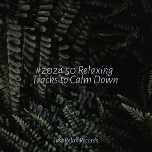 #2024 50 Relaxing Tracks to Calm Down - Sonido Del Bosque y Naturaleza