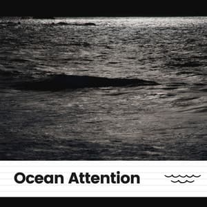 Ocean Attention - Sonidos De Agua