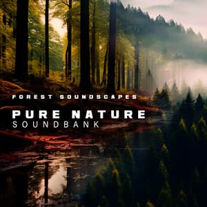 Pure Nature Soundbank - Forest Soundscapes