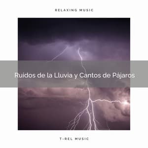 1 Ruidos de la Lluvia y Cantos de Pájaros - Academia de Música con Sonidos de la Naturaleza