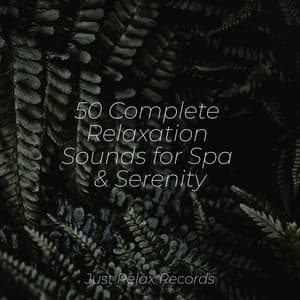 50 Complete Relaxation Sounds for Spa & Serenity - Powerthoughts Meditation Club