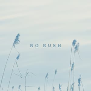 No Rush: Slow Relaxing Music for Stress Relief - Music to Relax in Free Time