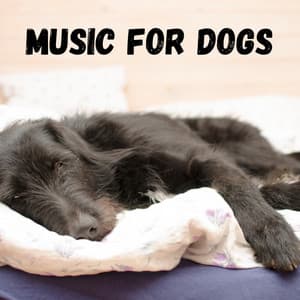Music For Dogs - Music For Dogs