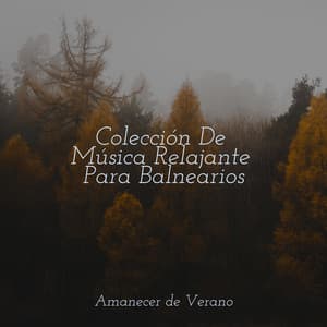 Colección De Música Relajante Para Balnearios - Yoga