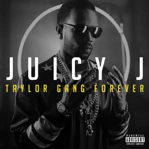 Taylor Gang Forever - Juicy J
