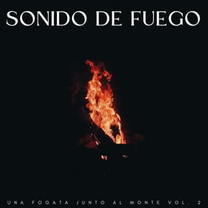 Sonido De Fuego: Una Fogata Junto Al Monte Vol. 2 - Ruidos de la Selva