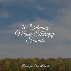50 Calming Music Therapy Sounds - White Noise For Baby Sleep