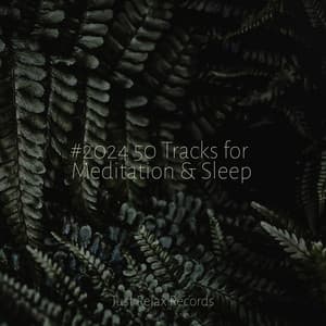 #2024 50 Tracks for Meditation & Sleep - Meditation Awareness