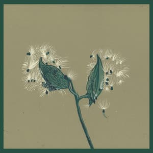 Song Of The Earth - Instrumentals - Dirty Projectors