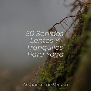 50 Sonidos Lentos Y Tranquilos Para Yoga - Relajación Piano