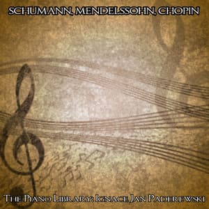 Schumann, Mendelssohn & Chopin: The Piano Library - Ignacy Jan Paderewski