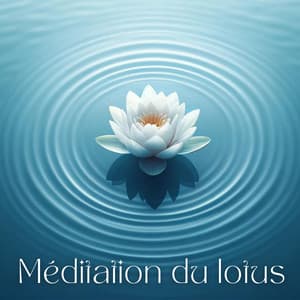Méditation du lotus: Pratique du zen japonais pour la perfection et l'illumination - Lotus Flower Academy