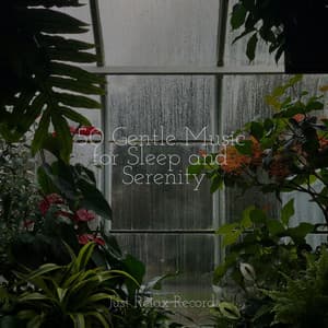 50 Gentle Music for Sleep and Serenity - Thunderstorm Sound Bank