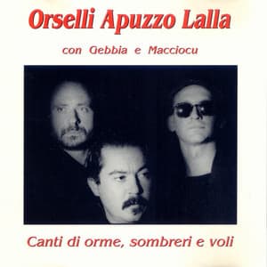 Canti di orme, sombreri e voli - Mauro Orselli