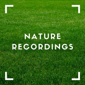 Green Fields of Natures - Natural Sample Makers