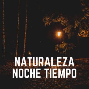Naturaleza Noche Tiempo - Sonidos de la Naturaleza para Dormir