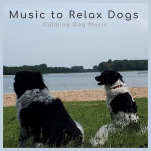 Calming Dog Music - Music-to-Relax-Dogs