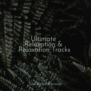 Ultimate Relaxation & Relaxation Tracks - Study Hard