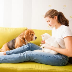 Raindrop Purr: Piano's Pet Serenity Session - Tranquility Piano