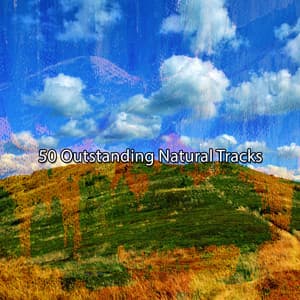 50 Outstanding Natural Tracks - Asian Zen: Spa Music Meditation