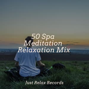 50 Spa Meditation Relaxation Mix - Meditación Guiada