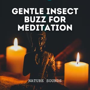 Nature Sounds: Gentle Insect Buzz for Meditation - Cricket Sounds