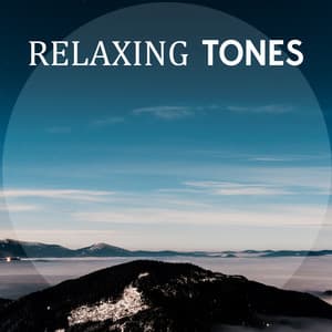 Relaxing Tones: Healthy Lifestyles Start Now - Relaxation And Meditation