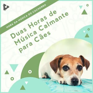 2 Horas de Música Calmante para Cães - Hora da Música do Cachorro