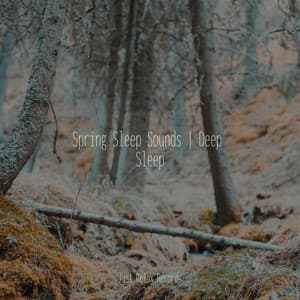 Spring Sleep Sounds | Deep Sleep - Musica para Meditar