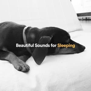 Beautiful Sounds for Sleeping - Ambient