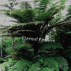 Eternal Embers - Lumenis