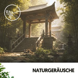 Naturgeräusche: Melodien des Wassers - Música Relajante Para Leer